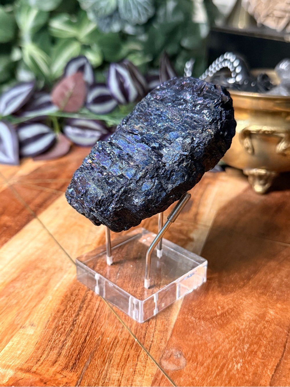 Peacock coal - Picture 3 of 8